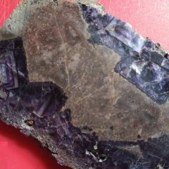 Cut and polished specimen of the purple variety of Fluorspar (CaF2). Colour probably imparted by hydrocarbons. Specimens found in Matlock area are more likely to be transparent variety
